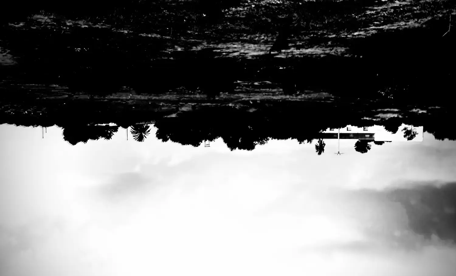 upside down black and white landscape with palm trees and houses